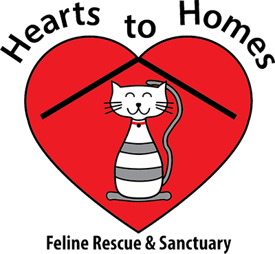Hearts to Homes Feline Rescue & Sanctuary