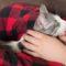 Miss Kitty