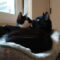 Cita & Louie