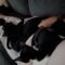 The Black & White Kitten Gang!
