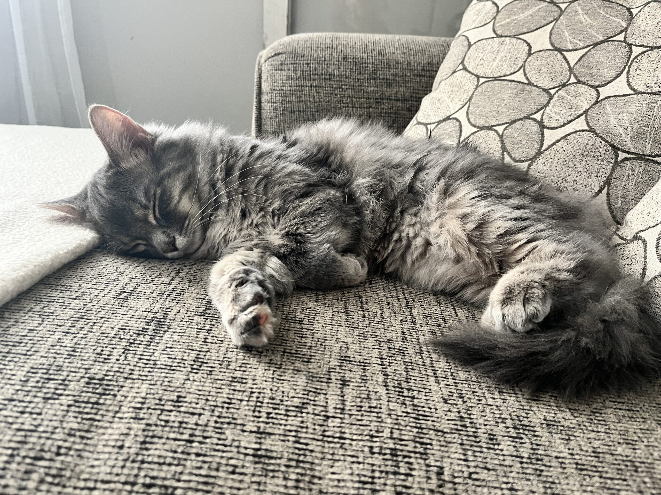 eloise
