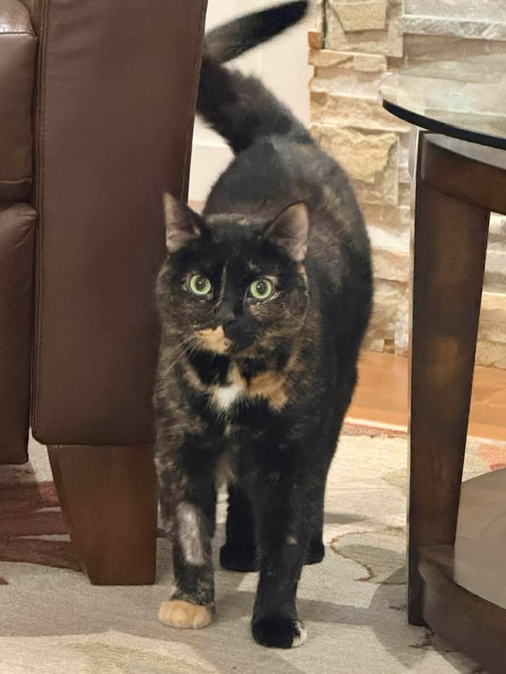luna3