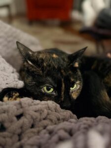 luna4
