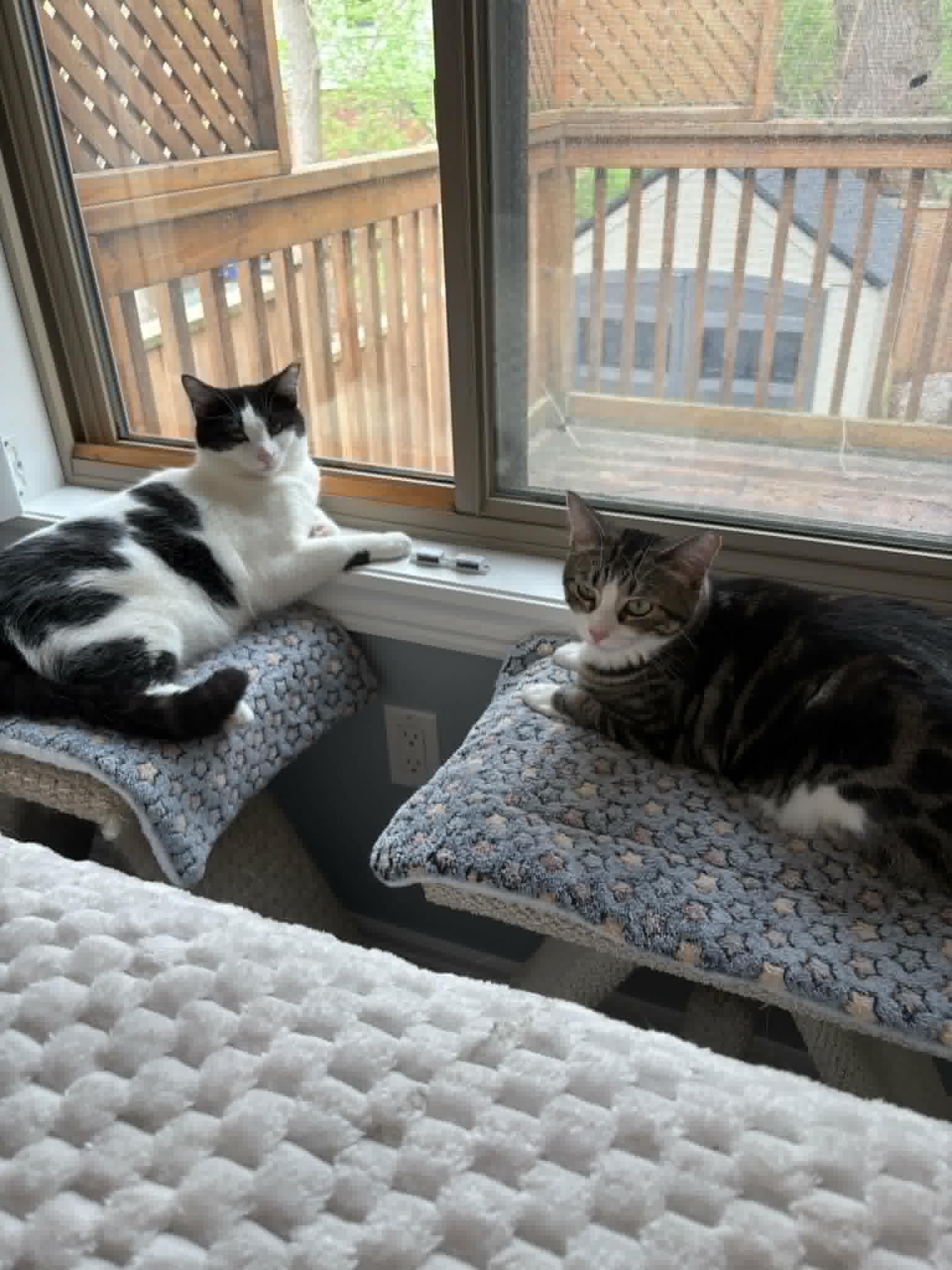 sushi & tula