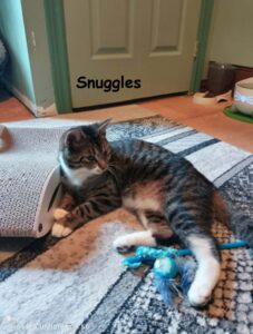 s snuggles