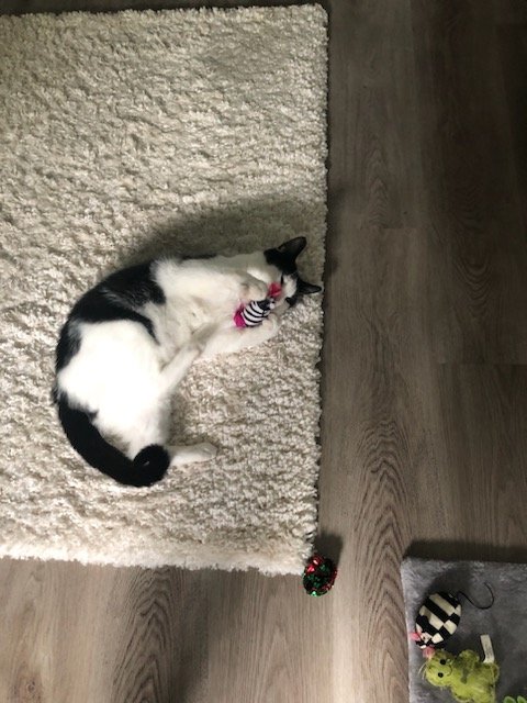 tuxie3