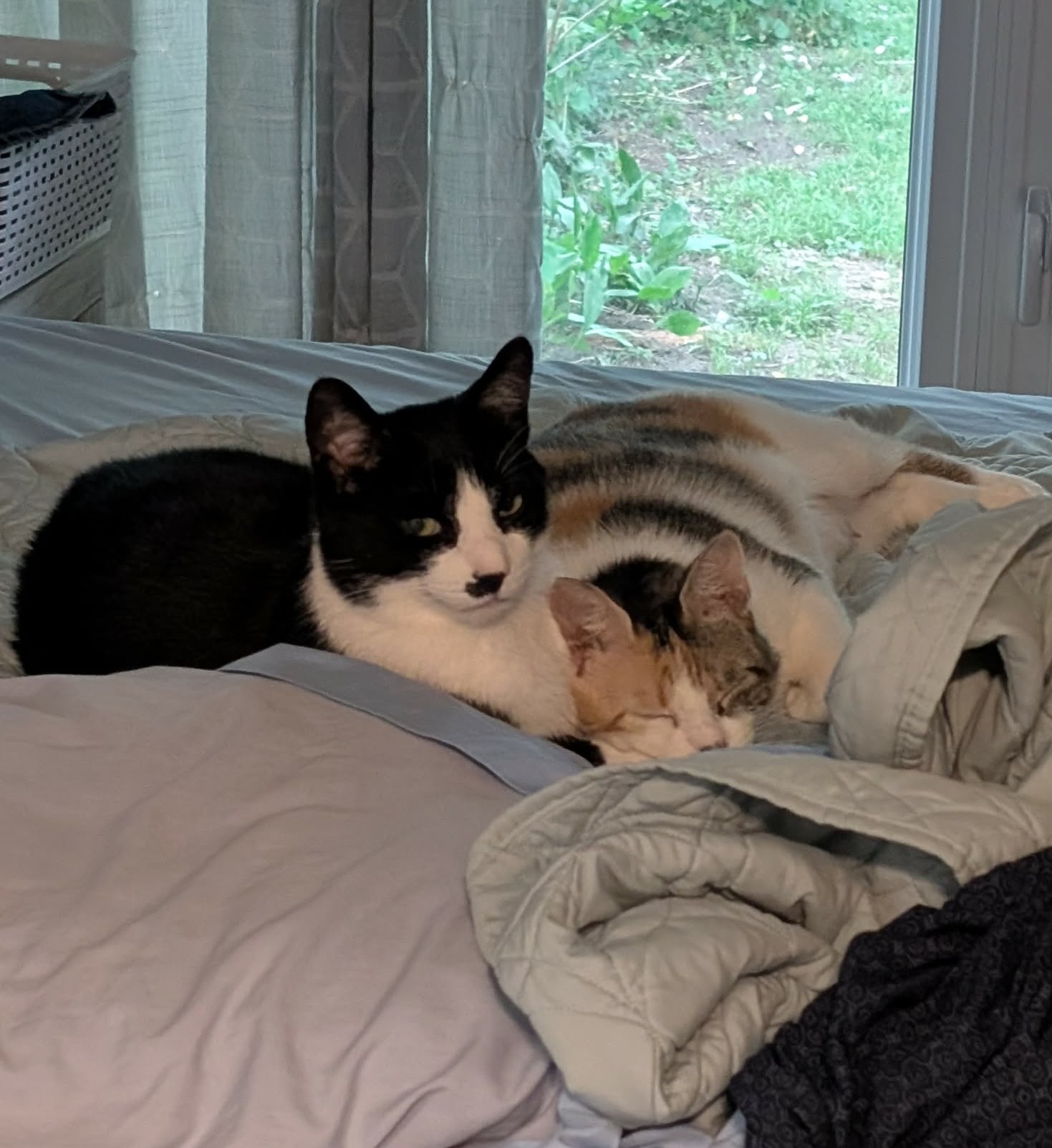 k charlie & sundae